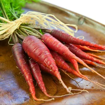 Natural Red Carrot